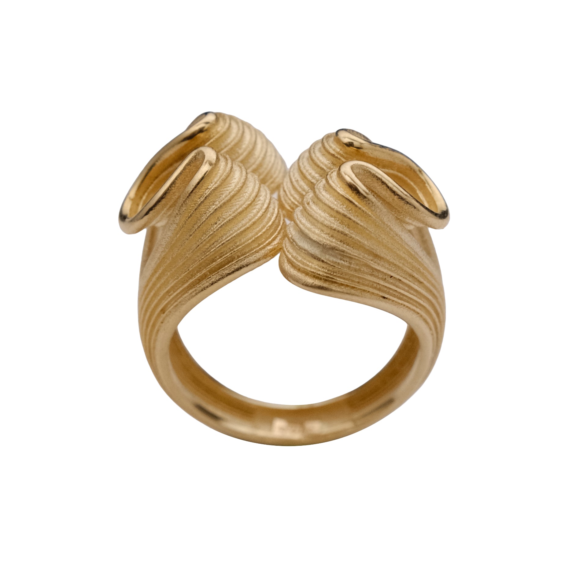 Infinite Ribbon Ring